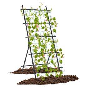 trellis.jpg