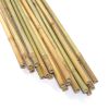 20PC 6FT A natural bamboo plant climbing stakes helps plants grow and beautifies your space.