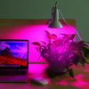 LED Grow Light 12W 200 Red Blue LEDs Plant Grow Lamp 360°Rotatable Plant Light