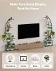 Plant Stand Indoor with Grow Lights, 65.5 in Tall 7-Tiered Lighted Plant Shelf, 2 Pack Metal Corner Plants Holder, 3 Timer & 10 Brightness, Half-Moon