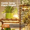 Plant Stand with Grow Light Plant Shelf for Mutiple Pots Large Plant Holder for Living Room Patio Boho Home Decor for Gardening Warm Light