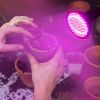 LED Grow Light 12W 200 Red Blue LEDs Plant Grow Lamp 360°Rotatable Plant Light