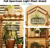 Plant Stand Indoor with Grow Lights Wood Plant Shelf for Hanging Planter Pots Display Flower