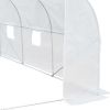 Outdoor Walk-In Tunnel Greenhouse Hot House with Roll-up Windows, Zippered Door, PE Cover 11.5' x 9.8' x 6.5' AS