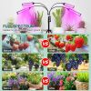 4 Head LED Grow Light with Stand for Indoor Plants Full Spectrum Plant Grow Lamp