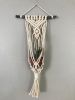DIY Macrame Air Plant Hanger Kit - The Anika