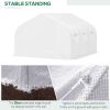Outdoor Walk-In Tunnel Greenhouse Hot House with Roll-up Windows, Zippered Door, PE Cover 11.5' x 9.8' x 6.5' AS