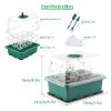 5-Pack Seed Starter Kit with LED Grow Lights – Indoor Propagation Trays with Adjustable Humidity Dome & Clear Cell Seedling Trays, Mini Greenhouse See