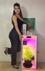 Cash Crop 7.0 - 2 Plant LED Hydroponics Grow Box