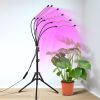 Full Spectrum Indoor Plant Grow Light with Adjustable Stand – 80 LEDs Floor Plant Lamp, 5 Dimming Levels (20%-100%), 3/9/12H Auto On/Off Timer, Height