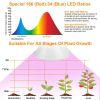LED Grow Light 12W 200 Red Blue LEDs Plant Grow Lamp 360°Rotatable Plant Light