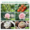 Full Spectrum Indoor Plant Grow Light with Adjustable Stand – 80 LEDs Floor Plant Lamp, 5 Dimming Levels (20%-100%), 3/9/12H Auto On/Off Timer, Height