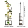 Plant Stand Indoor with Grow Lights, 65.5 in Tall 7-Tiered Lighted Plant Shelf, 2 Pack Metal Corner Plants Holder, 3 Timer & 10 Brightness, Half-Moon