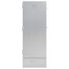 BBQ Oven Smoker with Wood Chips 17.5"x11.4"x43.3" Galvanized Steel