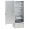 BBQ Oven Smoker with Wood Chips 17.5"x11.4"x43.3" Galvanized Steel
