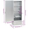 BBQ Oven Smoker with Table Galvanized Steel